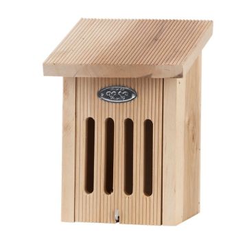 WA70 Vlinderkast in cadeaudoos