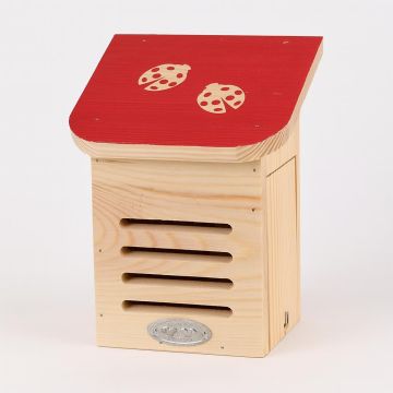 WA80 Diapositief lieveheersbeestjeshuis