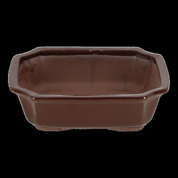 JP015 Bonsai pot rechthoekig L JP015 Bonsai pot rechthoekig L