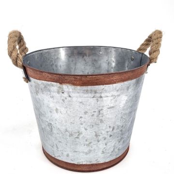 Copper rim Zinc Copper rim Zinc