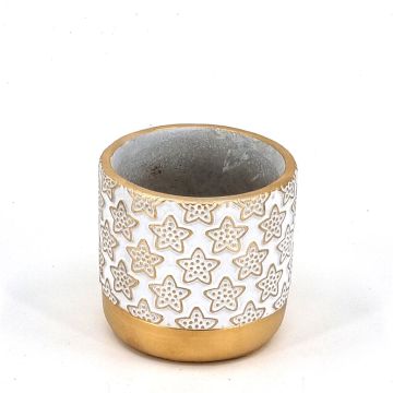 Pot star met Gouden randje 11cm Pot star met Gouden randje 11cm