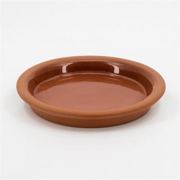 Waterschotel Terracota Ø 17 cm