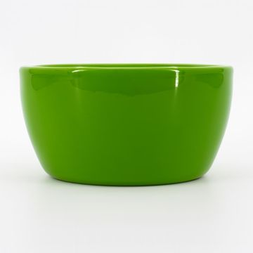 Apple green ceramic bowl